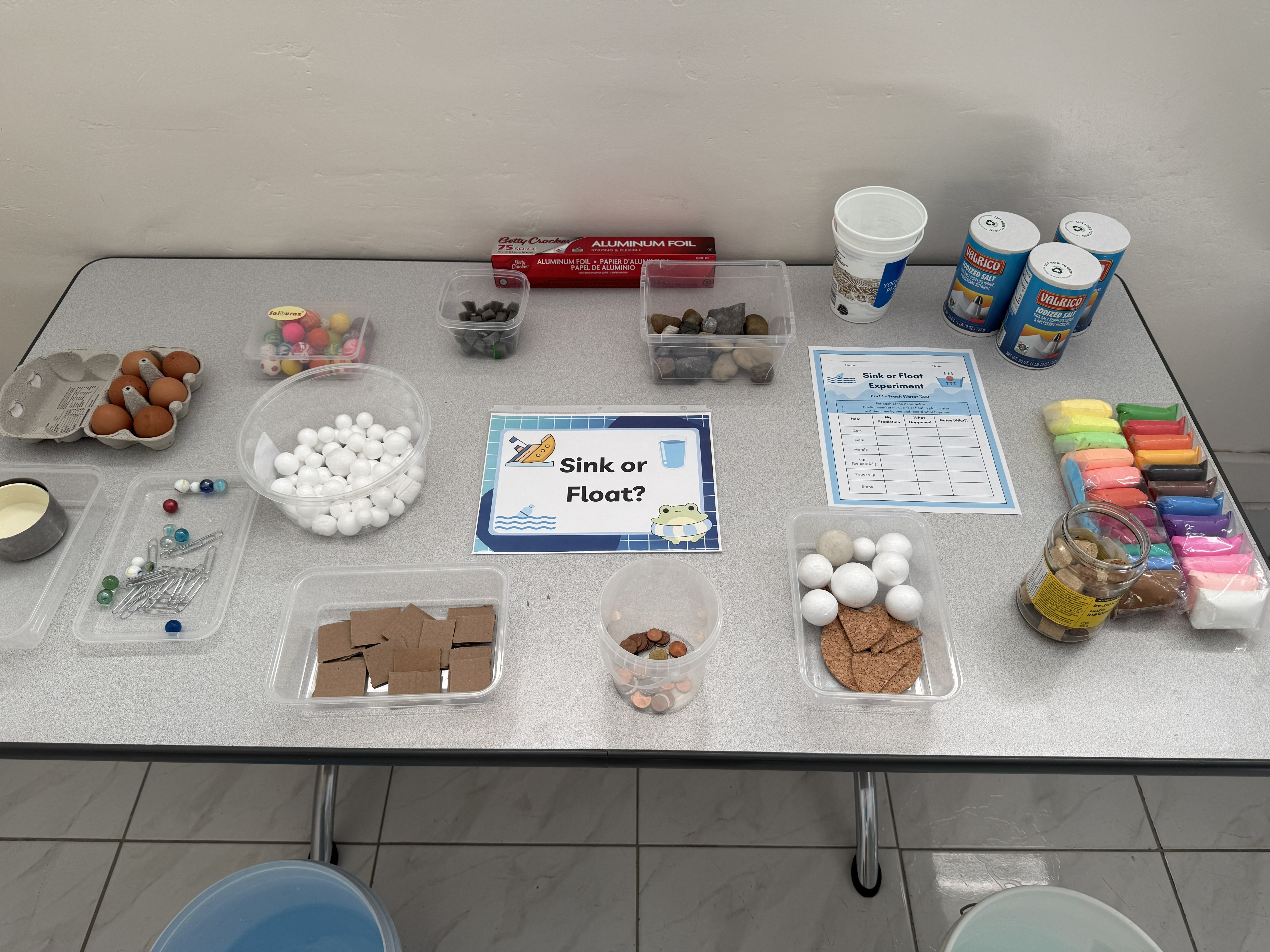 Sink or float activity